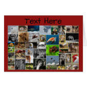 Mein Tierreich Grußkarte, für jeden Fall. (Vorderseite (Horizontal))