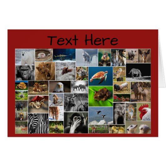 Mein Tierreich Grußkarte, für jeden Fall. (Vorderseite (Horizontal))