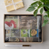 "Mein Tierreich" - Weißbuch über Wildtiere Seidenpapier (Geschenk)