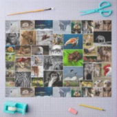 "Mein Tierreich" - Weißbuch über Wildtiere Seidenpapier (Basteln)