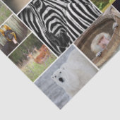 "Mein Tierreich" - Weißbuch über Wildtiere Seidenpapier (Ausschnitt)