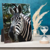 Mein trepper Freund Fotoplatte (Seite)