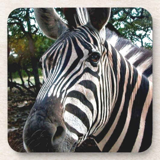 Mein trepper Freund Getränkeuntersetzer (Vorderseite)