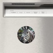 Mein trepper Freund Magnet (In Situ (Geschirrspüler))
