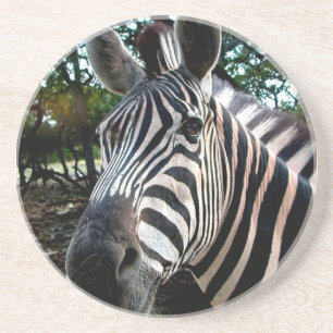 Mein trepper Freund Sandstein Untersetzer