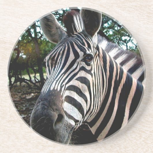 Mein trepper Freund Sandstein Untersetzer (Vorne)