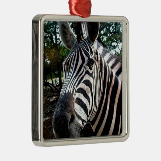 Mein trepper Freund Silbernes Ornament (Rechts)