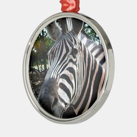 Mein trepper Freund Silbernes Ornament (Links)