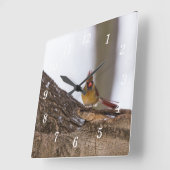 Mein Troll macht die Uhr (Winkel)