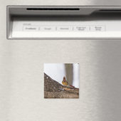 Mein Troll macht Magnet (In Situ (Geschirrspüler))