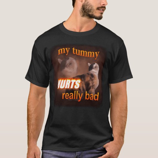Mein Tummy schmerzt wirklich schlecht - Katzenwort T-Shirt (Vorderseite)