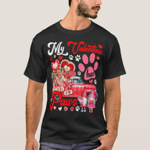 Mein Valentin hat Paws paar Sphynxen auf Lieferwag T-Shirt
