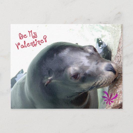 Mein Valentinin-Siegel Feiertagspostkarte (Vorderseite)