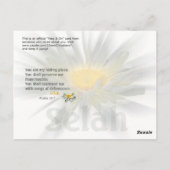 Mein Versteck Postkarte (Rückseite)