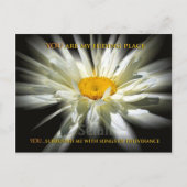 Mein Versteck Postkarte (Vorderseite)