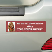 Mein Vizsla ist intelligenterer Autoaufkleber (Auf Auto)