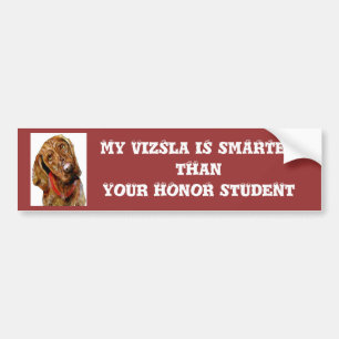 Mein Vizsla ist intelligenterer Autoaufkleber