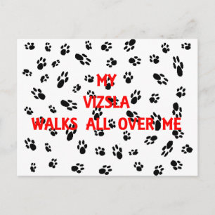 mein Vizsla läuft auf mir.png Postkarte