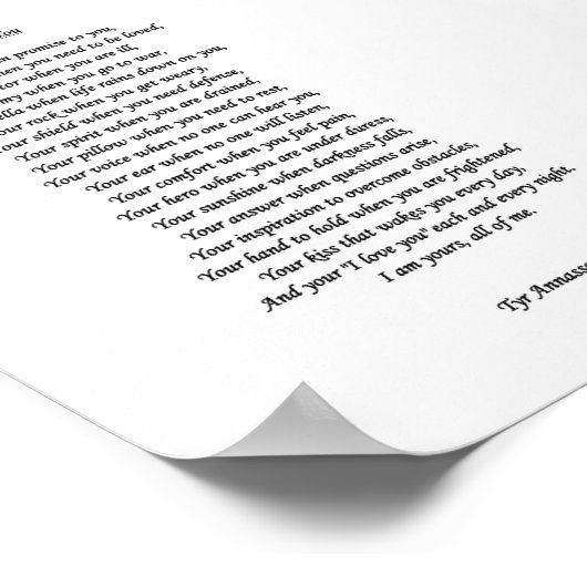 MEIN VOW POSTER (Ecke)