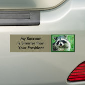 Mein Waschbär ist intelligenter als Ihr Präsident Autoaufkleber (Auf Auto)