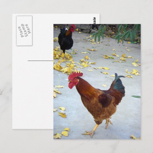 Mein Weg Postkarte (Vorne/Hinten)