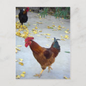 Mein Weg Postkarte (Vorderseite)