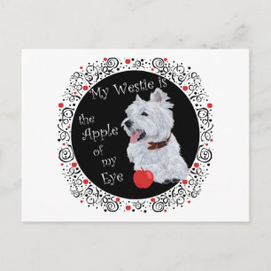 Mein Westie ist der Augapfel Postkarte