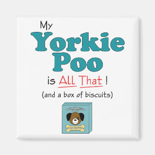 Mein Yorkie Poo ist alles das! Magnet