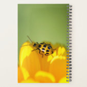 Mein Zeitschriftenplaner Planer (Rückseite)