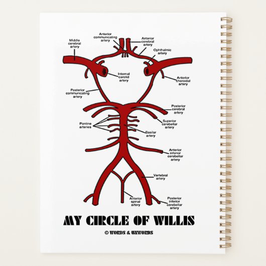 Mein Zirkel der Willis Arteries Anatomischer Spaß Planer (Rückseite)