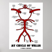 Mein Zirkel von Willis (anatomische Arterien) Poster (Vorne)