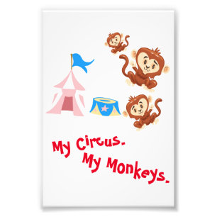 Mein Zirkus. Meine Affen. Foto