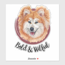 Meine Akita... Bold und Willful