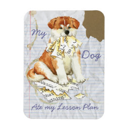 Meine Akita hat meinen Lektionsplan gelesen Magnet