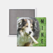 MEINE! Australian Shepherd Magnet (Vorderseite/Rückseite)