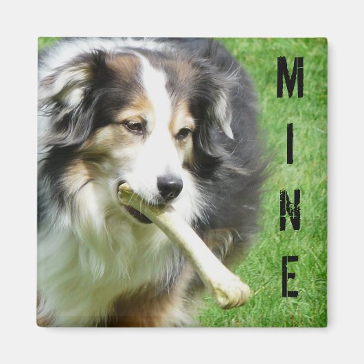 MEINE! Australian Shepherd Magnet (Vorne)