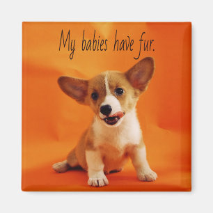 Meine Babys haben Pelzhund, niedliche Welpen, Welp Magnet