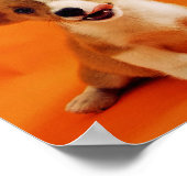 Meine Babys haben Pelzhund, niedliche Welpen, Welp Poster (Ecke)