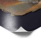 Meine Banane, Foto drucken (Ecke)