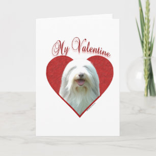 Meine bärtige Collie Valentine Feiertagskarte