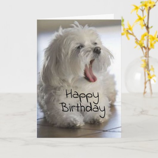 **MEINE BESTE FREUNDIN** GLÜCKLICHE GEBURTSKARTE KARTE (Gelbe Blume)