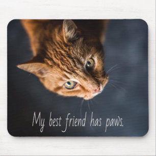 Meine beste Freundin hat Pfoten, Cat Kitten Niedli Mousepad