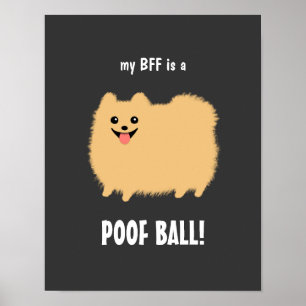 Meine BESTE FREUNDIN ist ein POOF-BALL-Spitz - ind Poster
