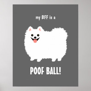 Meine BESTE FREUNDIN ist ein POOF-BALL-Spitz - ind Poster