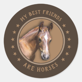 Meine besten Freunde sind Pferde Runder Aufkleber