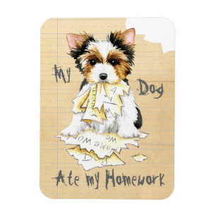 Meine Biewer Terrier Ate Meine Hausaufgaben Magnet