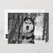 Meine blauen Augen denken an dich Postkarte (Vorne/Hinten)