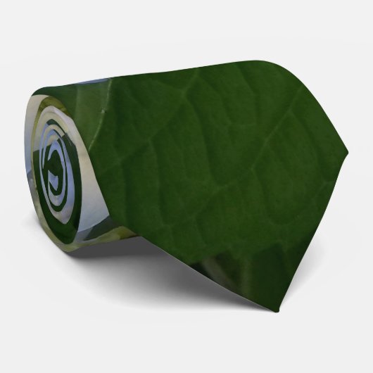 "Meine blauen Hydrangeas-" Krawatte (Gerollt)