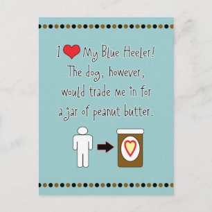 Meine Blue Heeler Lieben Erdnussbutter Postkarte