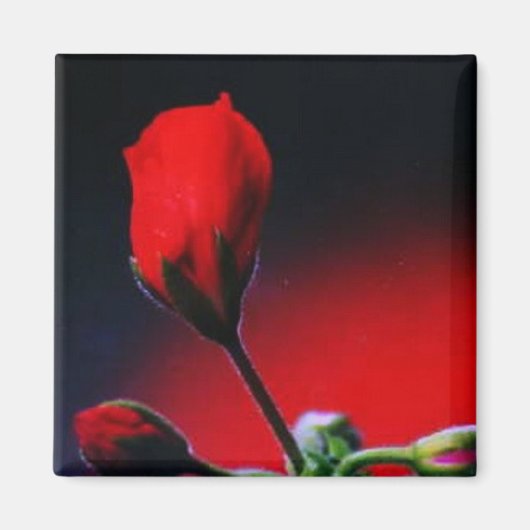 Meine Blume Magnet (Vorne)